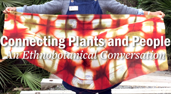 Screen Shot 2019-10-17 at 4.07.52 PM